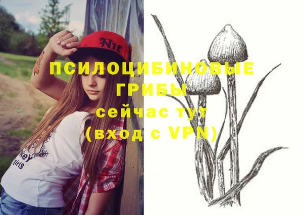 кокаин VHQ Гусев