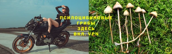 кокаин VHQ Гусев