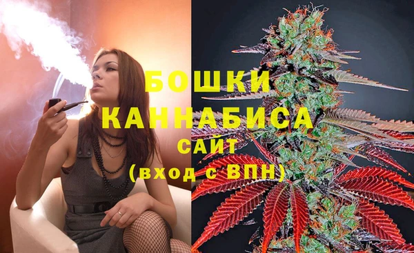 mix Гусь-Хрустальный